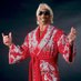 “Greatness Rick Flair” (@toorawdj) Twitter profile photo “Greatness Rick Flair” (@toorawdj) Twitter profile photo