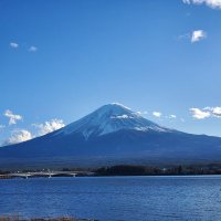 DkFkHyry494 (@fk_dk80225) 's Twitter Profile