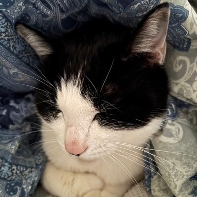 HEvatrz6HI92903's profile picture. 