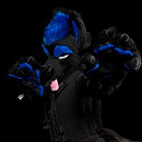 Pup Zoom (@pup_zoom) 's Twitter Profile