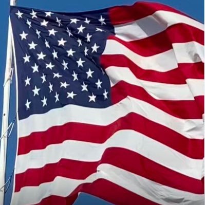 MKBorrows's profile picture. 