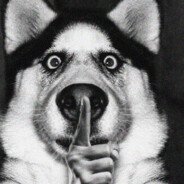 SpiffyisntCool's profile picture. hi guys