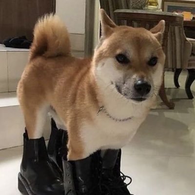 atxeesea's profile picture. editor | english not my native language, so I’m sorry for every mistakes