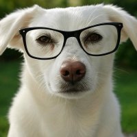 Barney (@groksplorer) 's Twitter Profile