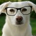 Barney (@groksplorer) Twitter profile photo Barney (@groksplorer) Twitter profile photo