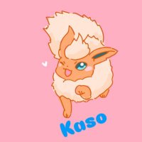 かそさんω ᥫᩣ (@mc_kaso3) 's Twitter Profile
