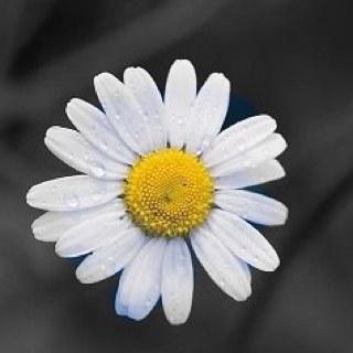 _thiscrazylife_'s profile picture. The craziness of our lives that never seems to end. Warning: Explicit content ;) #TeamFollowBack  #teamdgaf