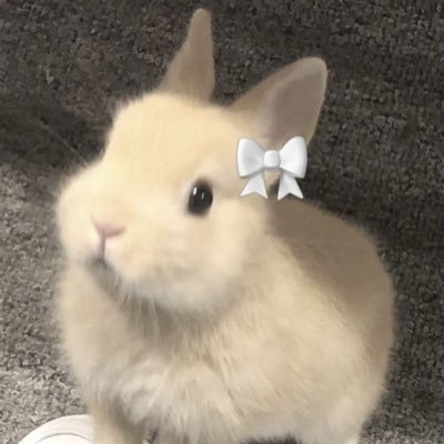 studyvicr's profile picture. 𝒯𝑒𝓃𝓉𝒶𝓃𝒹𝑜 𝒸𝑜𝓃𝒸𝒾𝓁𝒾𝒶𝓇 𝒶 𝒻𝒶𝒸𝓊𝓁𝒹𝒶𝒹𝑒 𝒸𝑜𝓂 𝑜 𝓋𝑒𝓈𝓉𝒾𝒷𝓊𝓁𝒶𝓇