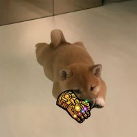 $INU (@inucto) 's Twitter Profile