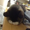 jong yoo - @jongnami0512 - Twitter