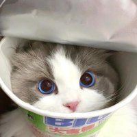 nasy (@167x12) 's Twitter Profile