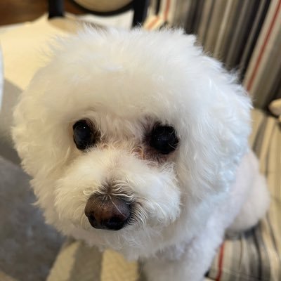 Jerry88125's profile picture.