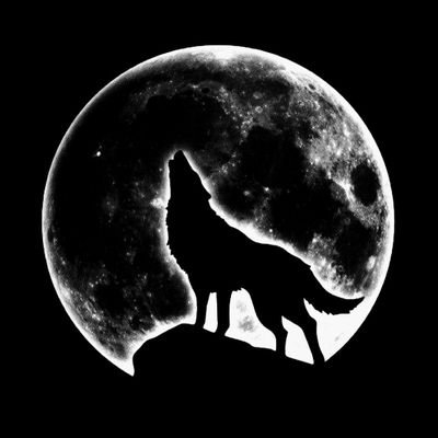 Detesto la desinformación. Apoyo los derechos Humanos y la libertad de la humanidad como principio Básico.
NAFO.