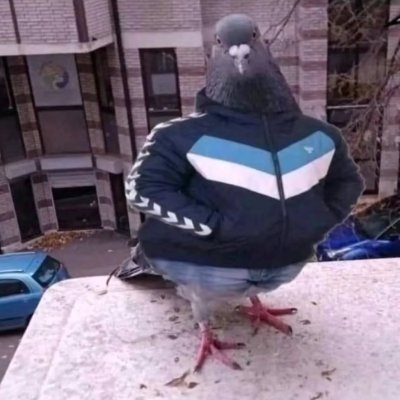 Lexaproooooo's profile picture. Mogging 🇩🇪🇸🇪🇺🇦