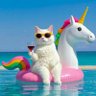 Chela_Libre's profile picture. Coleccionista de momentos…!