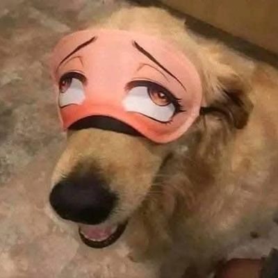 yadder1207's profile picture. 🍑 +18 , futa o what ever 🇳🇮🔞
artist