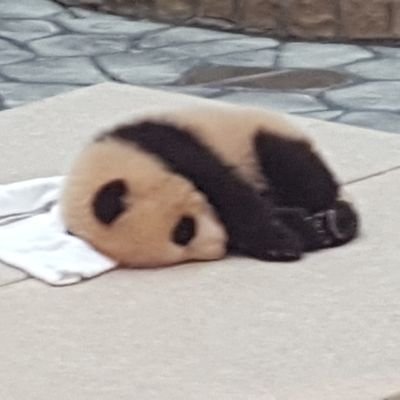 1Er1tWcVfA12102's profile picture. 