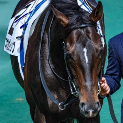 鉄男さんのプロフィール画像