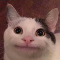 ForexYrn (@forexfn) 's Twitter Profile Photo