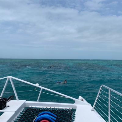 00Pancakes's profile picture. Husband, Father, Vet.