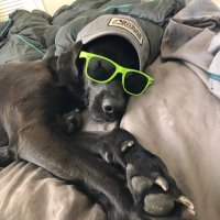 0x0B1Binomial (@0x0b1binomial) 's Twitter Profile
