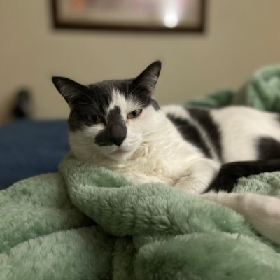 bold2sday's profile picture. 