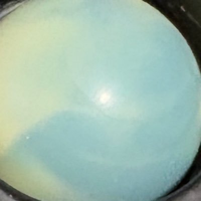 meshiuma0x's profile picture. 成人済/RMX•RMZ/🐎娘:推しが多い/雑多に描く/DO NOT REPOST!無断転載禁止/ I only speak Japanese./