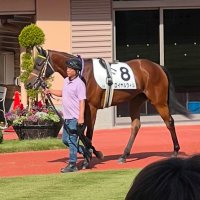 【競馬予想】ロイ👑 (@keibaroy) Twitter profile photo