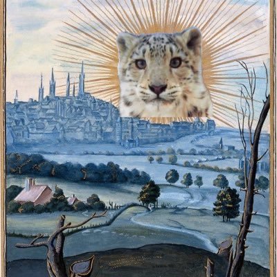 jgmbenis's profile picture. rape the world