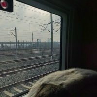 give it to be there (@itgive87855) 's Twitter Profile