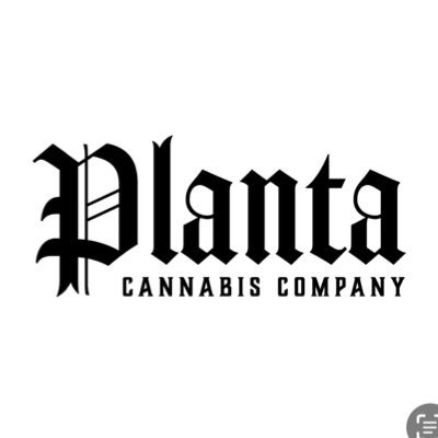 Pursuing perfection with the plant.
