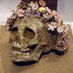 Bones (@frailskeleton) Twitter profile photo Bones (@frailskeleton) Twitter profile photo