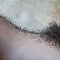 Pentelhudo Fort (@pentelhudofort) 's Twitter Profile