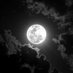Dark moon (@moon_spell7) Twitter profile photo Dark moon (@moon_spell7) Twitter profile photo