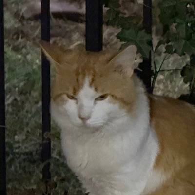 MOONEclipse347's profile picture. 