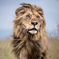 Selle Higgins (@safariwithselle) 's Twitter Profile Photo Selle Higgins (@safariwithselle) 's Twitter Profile Photo