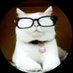 Catturd (@catturdddd) Twitter profile photo Catturd (@catturdddd) Twitter profile photo