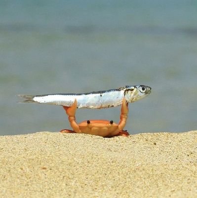 misuji0909's profile picture. 楽しんでいるだけなのに頑張っていると勘違いされて人生送れたら成功(๑´ڡ`๑)