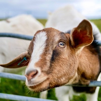 lhmrf19662323's profile picture. Nuevo Centro de Estética orientado a ofrecer nuevos servicios unisex  Limpieza, masajes, depilación, masajes, tratamientos etc ...