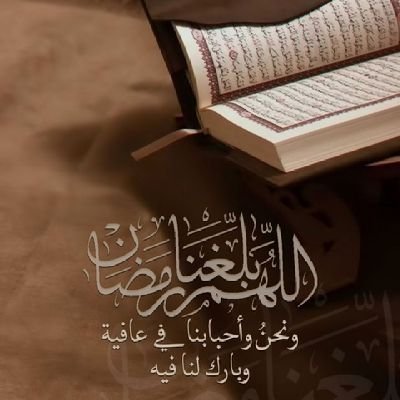 manso11ora's profile picture. 