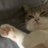 ちゃんけー (@bust_out_xxx) 's Twitter Profile