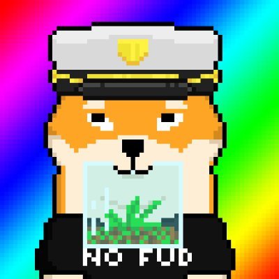 nikaashib's profile picture. Building 36 chambers of tech at https://t.co/4BOV5nrFsB | DYOR 🚀