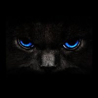 Scerdeeq (@scerdeeq) 's Twitter Profile