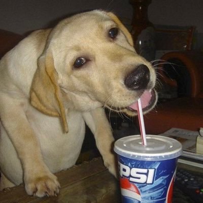devincries's profile picture. #DetroitBasketball #Pelicans #ForTheDistrict #AmenFC #WANTITALL