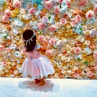 Narumi🐰楽天room (@narumi_rabbit) 's Twitter Profile