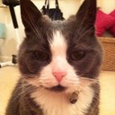 Alan Moffat - @alanmoffat - Twitter