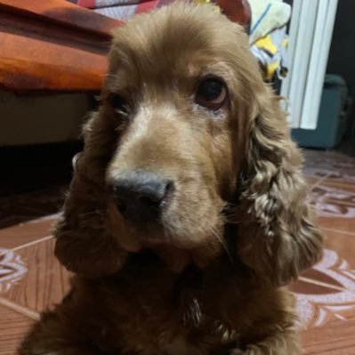 Carry789284600's profile picture. 