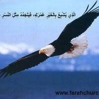 الصقر المصري (@lqrlmry161821) 's Twitter Profile