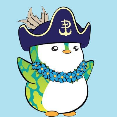 zvo1e's profile picture. 