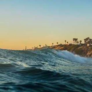 OminelliWe80305's profile picture. 